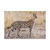 Trademark Fine Art Jeffrey C Sink 'Serval Hunting' Canvas Art, 22x32 1X05720-C2232GG